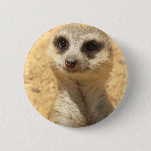 Meerkat好奇心が強い円形Pin 缶バッジ (正面)