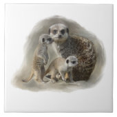 meerkat家族 タイル (正面)