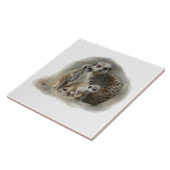 meerkat家族 タイル (側面)