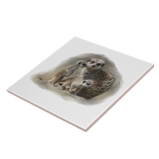 meerkat家族 タイル (側面)