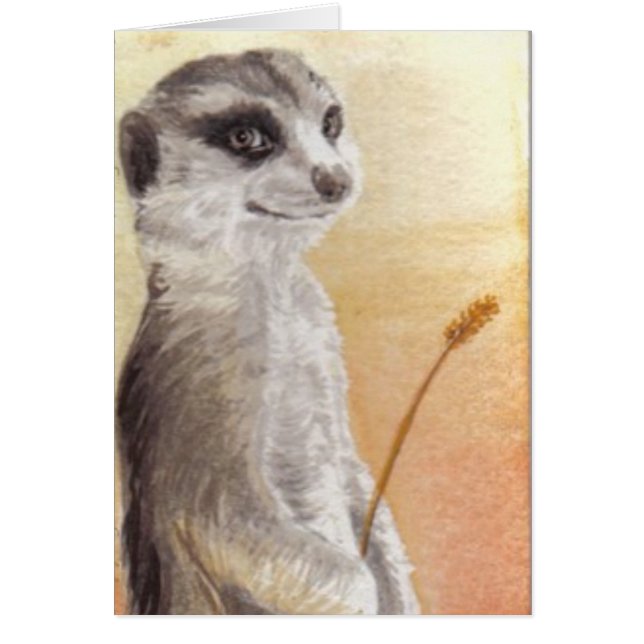 Meerkat (正面)