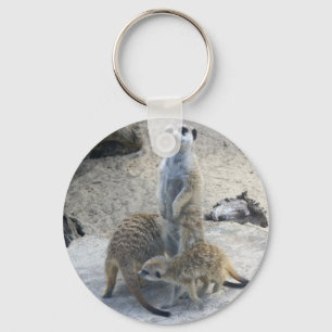 Meerkat キーホルダー