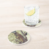 Meerkat コースター (側面)