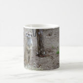 Meerkat コーヒーマグカップ (中央)