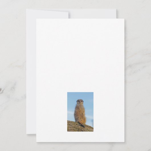 Meerkat サンキューカード (裏面)
