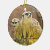 meerkat セラミックオーナメント (左)