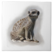 meerkat タイル (正面)