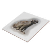 meerkat タイル (側面)