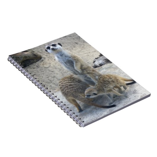 Meerkat ノートブック (右側)