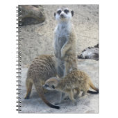 Meerkat ノートブック (正面)