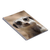 Meerkat ノートブック (右側)
