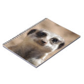 Meerkat ノートブック (左側)