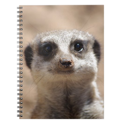 Meerkat ノートブック (正面)