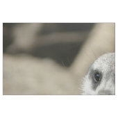 Meerkat ファブリック (ファットクウォーター)