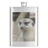 Meerkat フラスク (正面)