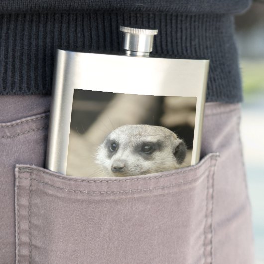 Meerkat フラスク (インサイチュ)