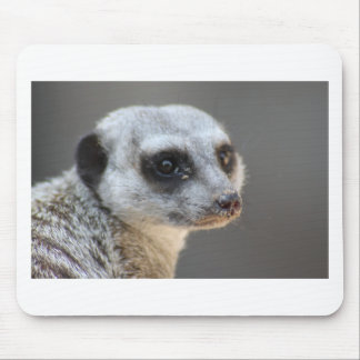 Meerkat マウスパッド