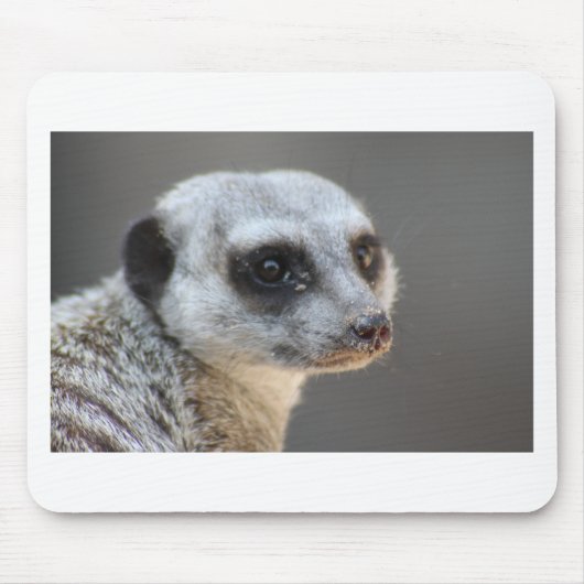 Meerkat マウスパッド (正面)