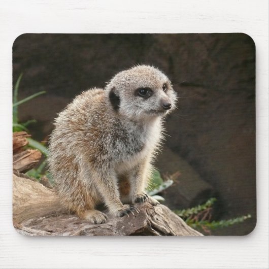 Meerkat マウスパッド (正面)