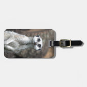 Meerkat ラゲッジタグ (正面横)