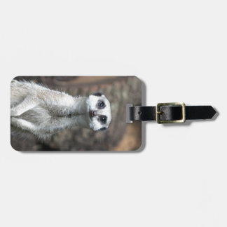 Meerkat ラゲッジタグ