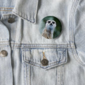 Meerkat 缶バッジ (インサイチュ)