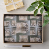 Meerkat 薄葉紙 (ギフト)