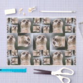 Meerkat 薄葉紙 (クラフト)