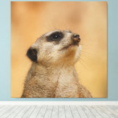 Meerkat 001 by JAMFoto キャンバスプリント (インサイチュ (ウッドフロア))