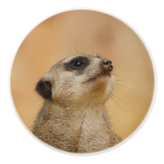 Meerkat 001 by JAMFoto セラミックノブ (正面)