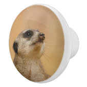 Meerkat 001 by JAMFoto セラミックノブ (右)