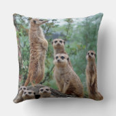 Meerkat_003 クッション (裏面)