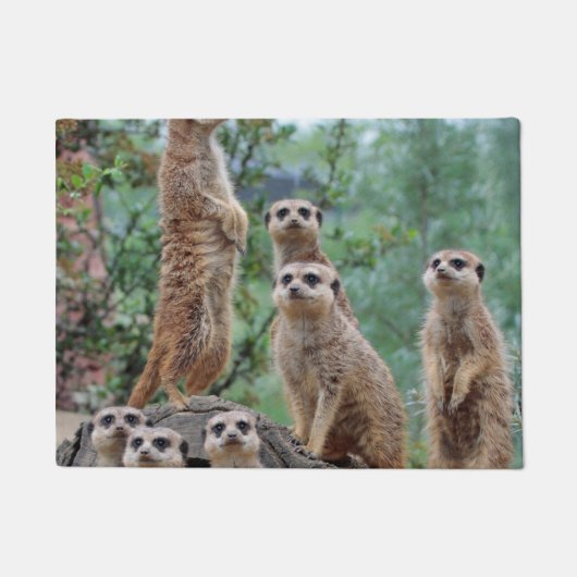 Meerkat_003 ドアマット (正面)