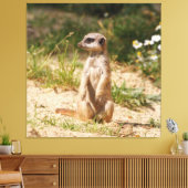 Meerkat_005 キャンバスプリント (インサイチュ (リビング))