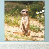 Meerkat_005 キャンバスプリント (インサイチュ (ウッドフロア))