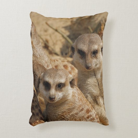 Meerkat_008 アクセントクッション (正面(垂直))