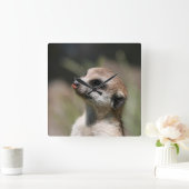 Meerkat 014 スクエア壁時計 (ホーム)