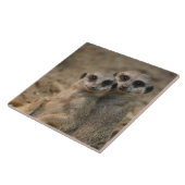 Meerkat 067 タイル (側面)