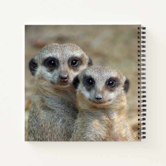 Meerkat 085 ノートブック (裏面)