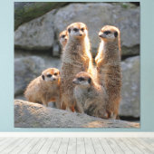 Meerkat 110 キャンバスプリント (インサイチュ (ウッドフロア))