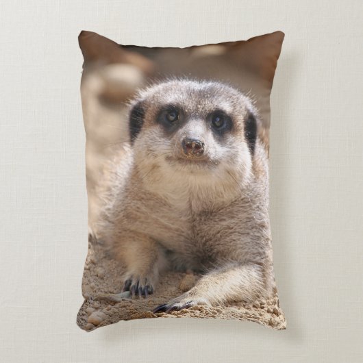 Meerkat 174 アクセントクッション (正面(垂直))