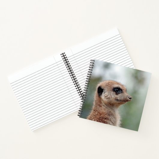 Meerkat 180 ノートブック (内部)
