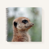 Meerkat 180 ノートブック (正面)
