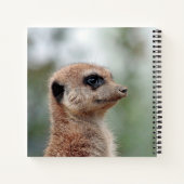 Meerkat 180 ノートブック (裏面)