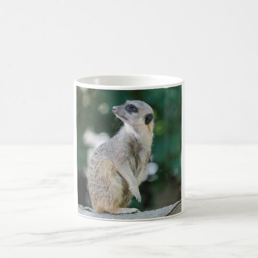 Meerkat_2015_0103 コーヒーマグカップ (中央)