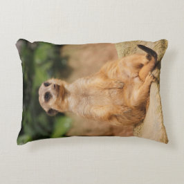 Meerkat_2015_0110 アクセントクッション