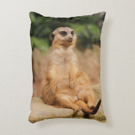 Meerkat_2015_0110 アクセントクッション