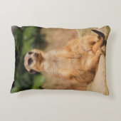 Meerkat_2015_0110 アクセントクッション (裏面)