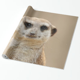 Meerkat_2015_0211 ラッピングペーパー