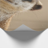 Meerkat_2015_0211 ラッピングペーパー (コーナー)
